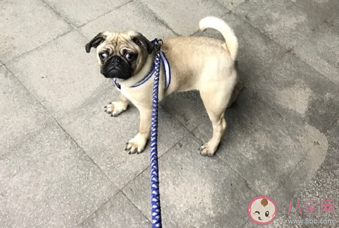 快年底沒錢的心情說說 年底沒錢了心情壓抑句子 快年底沒錢的心情說說 年底沒錢了心情壓抑句子