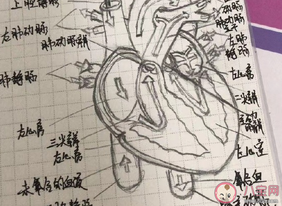 拿到護士資格證的心情說說 拿到護士資格證發朋友圈文案 拿到護士資格證的心情說說 拿到護士資格證發朋友圈文案