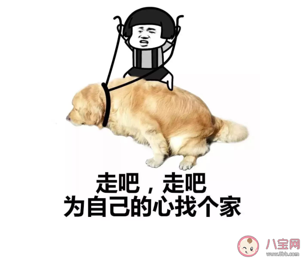 雙十一光棍節單身文案句子 雙十一光棍節幽默說說句子