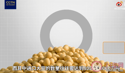 中國為什么需要進口大量大豆 食用大豆的大豆的營養價值作用是什么 中國為什么需要進口大量大豆 食用大豆的大豆的營養價值作用是什么
