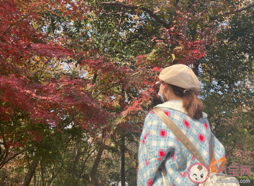 和朋友去秋游發朋友圈說說 朋友一起秋游心情感言