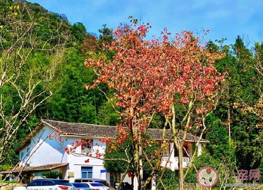 和朋友去秋游發朋友圈說說 朋友一起秋游心情感言