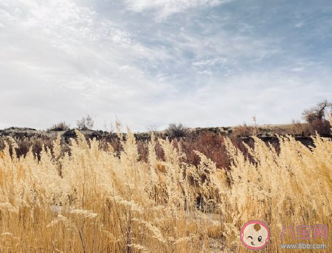 和朋友去秋游發朋友圈說說 朋友一起秋游心情感言