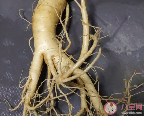 人生第一次吃人參曬朋友圈文案 第一次吃人參低調說說 人生第一次吃人參曬朋友圈文案 第一次吃人參低調說說