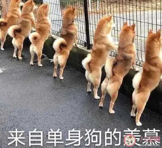 雙十一脫單了發(fā)朋友圈說說 在雙十一脫單了心情句子 雙十一脫單了發(fā)朋友圈說說 在雙十一脫單了心情句子