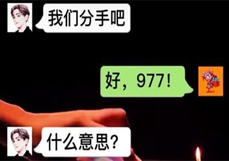 977是什么梗 女生說997是啥意思