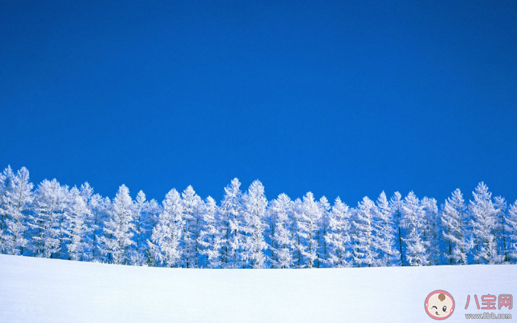 大雪過后為什么會覺得格外寂靜 螞蟻莊園小課堂11月12日今日答案