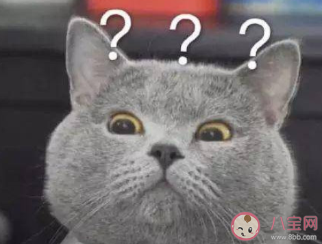 雙十一退款正常嗎 雙十一退款的原因有哪些