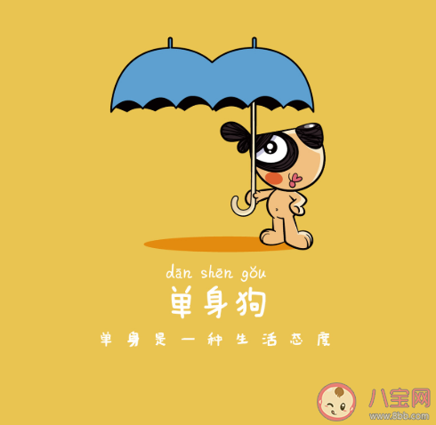 我國單身成年人口2.4億人是真的嗎 單身潮形成的原因是什么