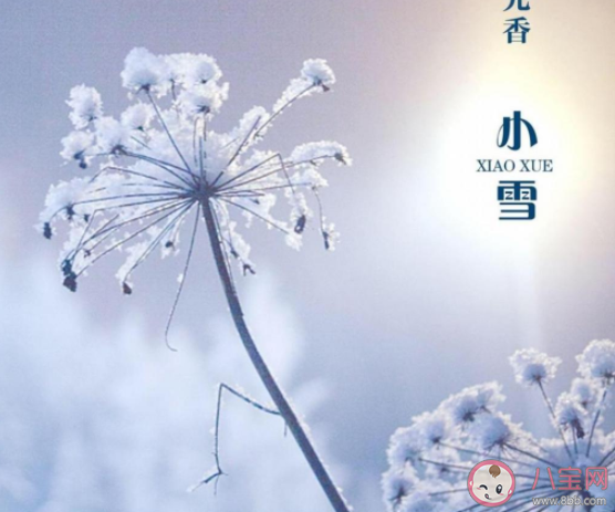 2020今日小雪早安心語圖片發朋友圈 2020小雪節氣早上好文案圖片說說