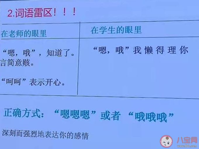 五哈原則是什么梗什么意思 五哈原則梗出處來源是哪里