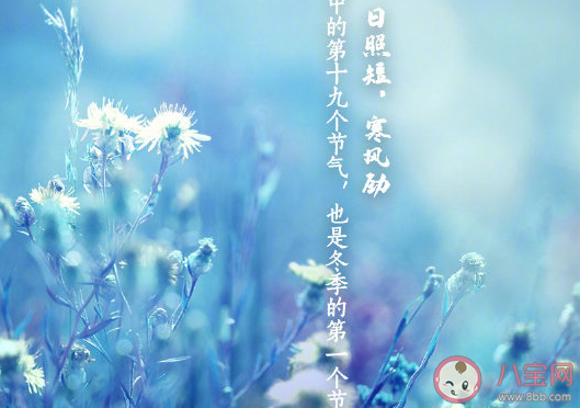 正式進入冬天的發朋友圈說說 準備入冬唯美句子