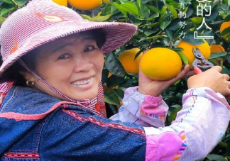 2020感恩節感恩父母簡短的話語 感恩親人溫馨祝福語句子