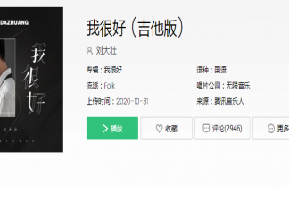 我很好反正一直都是偶爾被需要是什么歌 劉大壯《我很好》完整歌詞介紹