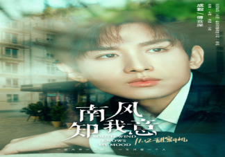 《南風知我意》主演陣容官宣 《南風知我意》講述了什么故事