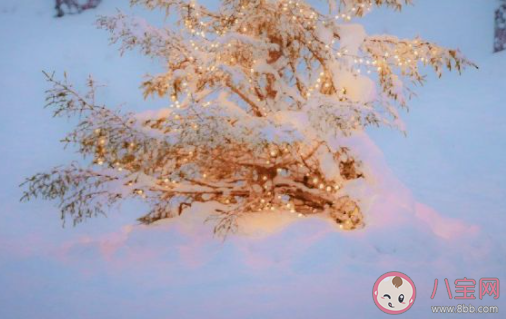 適合冬天發的溫柔句子 關于冬天的暖心文案