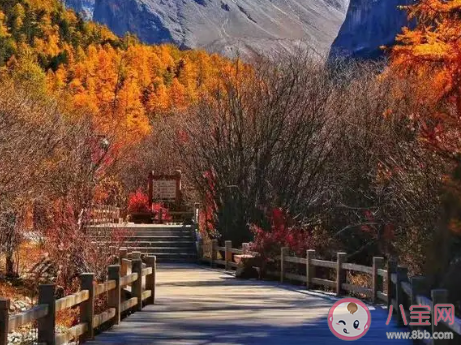 四川甘孜首推所有景區(qū)免門票是真的嗎 四川甘孜首旅游攻略路線