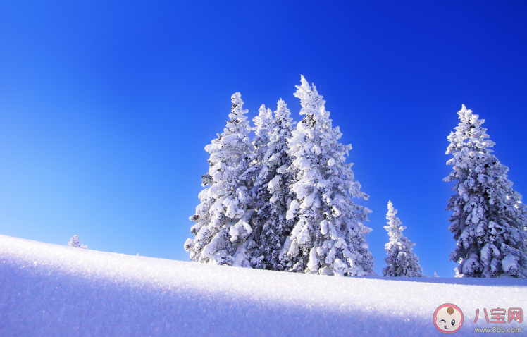 適合冬天發(fā)的溫柔文案句子大全 關(guān)于冬天超級(jí)溫柔說說文案 適合冬天發(fā)的溫柔文案句子大全 關(guān)于冬天超級(jí)溫柔說說文案