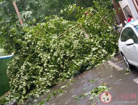 大風大雨怎么發朋友圈 狂風暴雨的心情感慨句子 大風大雨怎么發朋友圈 狂風暴雨的心情感慨句子