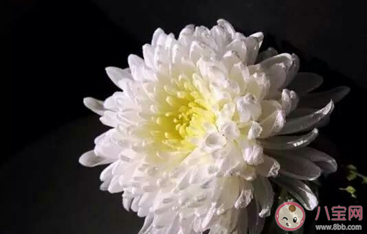 十月一寒衣節朋友圈感慨說說 寒衣節到了傷感語錄 十月一寒衣節朋友圈感慨說說 寒衣節到了傷感語錄