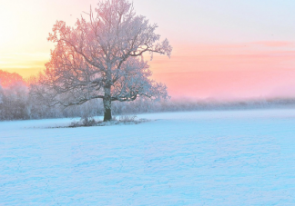 適合冬天發(fā)的溫柔文案句子大全 關(guān)于冬天超級(jí)溫柔說(shuō)說(shuō)文案