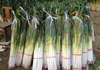 大蔥價格為什么連連上漲 什么時候能吃到便宜大蔥