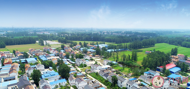 石頭開(kāi)花《信任》單元有故事原型嗎 《信任》故事原型是什么