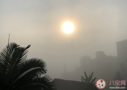 冬天的早晨發(fā)朋友圈說說 冬天的早上心情感慨句子 冬天的早晨發(fā)朋友圈說說 冬天的早上心情感慨句子