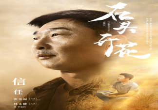 石頭開花《信任》單元有故事原型嗎 《信任》故事原型是什么