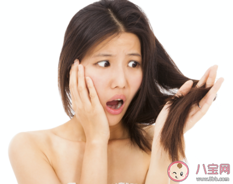 植發群體中90后過半是真的嗎 年輕人脫發怎么調理 植發群體中90后過半是真的嗎 年輕人脫發怎么調理