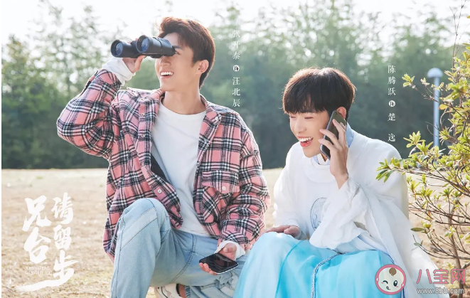 《兄臺請留步》追劇日歷 《兄臺請留步》什么時候更新 《兄臺請留步》追劇日歷 《兄臺請留步》什么時候更新