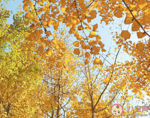 天氣多變的幽默說說句子 形容天氣多變搞笑大全 天氣多變的幽默說說句子 形容天氣多變搞笑大全