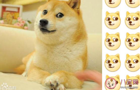 忘掛狗頭了是什么梗 忘掛狗頭了是什么意思