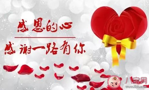 2020關于感恩節(jié)溫馨祝福語一句話 感恩節(jié)了感謝的話語大全