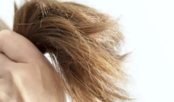 成語黃發垂髫中黃發指的是 螞蟻莊園11月18日答案