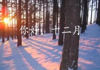 2020十一月再見十二月你好勵志說說正能量語錄 十一月再見十二月你好的美好句子
