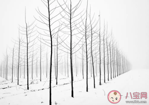 喜歡冬天的雪發朋友圈說說 曬冬天的雪心情一句話 喜歡冬天的雪發朋友圈說說 曬冬天的雪心情一句話