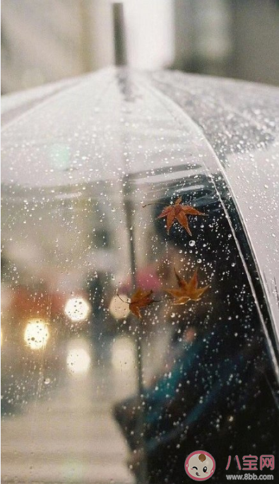 下雨天早安發(fā)朋友圈文案句子 下雨天早安暖心問候句子大全 下雨天早安發(fā)朋友圈文案句子 下雨天早安暖心問候句子大全