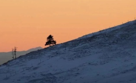 有的家庭并不是避風港 此時我們應該怎么做 有的家庭并不是避風港 此時我們應該怎么做