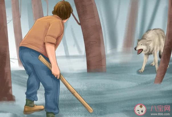 青海鄉(xiāng)干部跳入冰湖救落水野狼是怎么回事 在野外遇見(jiàn)狼了怎么辦