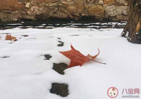 適合在哈爾濱冬天發(fā)的朋友圈 冬天哈爾濱一日游心情感言