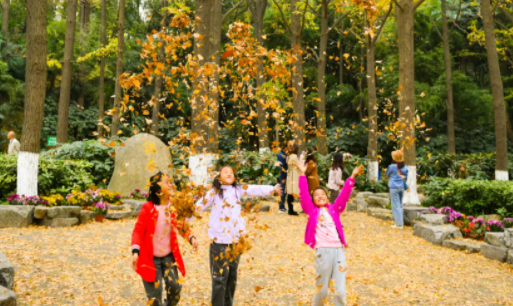 南京42處落葉觀賞點(diǎn)匯總 42處落葉觀賞點(diǎn)在哪