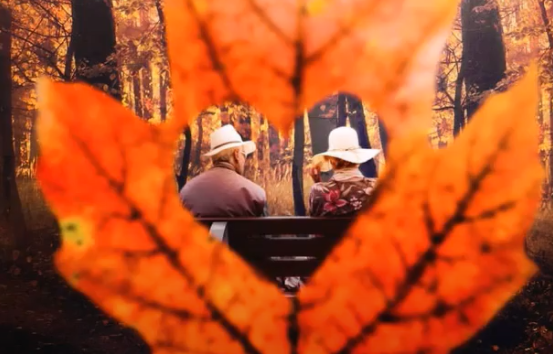 秋天的落葉怎么拍好看 落葉創(chuàng)意拍攝技巧分享
