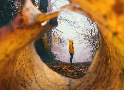 秋天的落葉怎么拍好看 落葉創(chuàng)意拍攝技巧分享