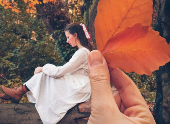 秋天的落葉怎么拍好看 落葉創(chuàng)意拍攝技巧分享