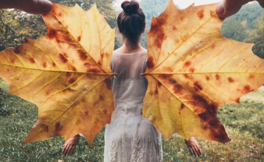 秋天的落葉怎么拍好看 落葉創(chuàng)意拍攝技巧分享