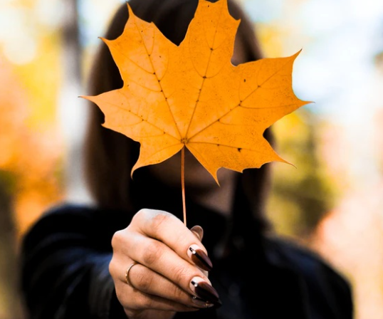 秋天的落葉怎么拍好看 落葉創(chuàng)意拍攝技巧分享