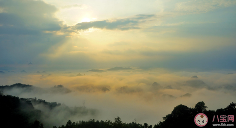 適合用于作文的大氣磅礴句子素材 很大氣適用于作文的句子主題示例