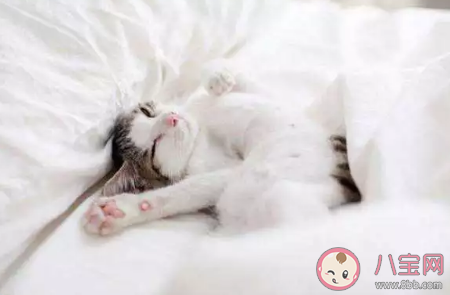 冬天賴(lài)床起不來(lái)的搞笑說(shuō)說(shuō) 天冷不想起床幽默句子 冬天賴(lài)床起不來(lái)的搞笑說(shuō)說(shuō) 天冷不想起床幽默句子