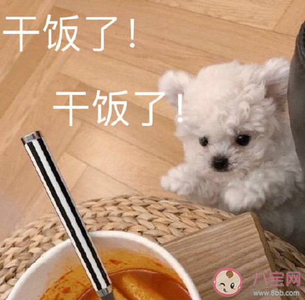 干飯人文案語錄合集 干飯人發(fā)朋友圈文案說說句子